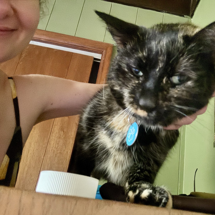 Cat Sitter With 9 Yrs Experience