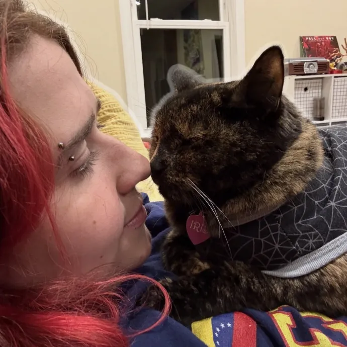 Cat Mom Of 3 Cat Person For All
