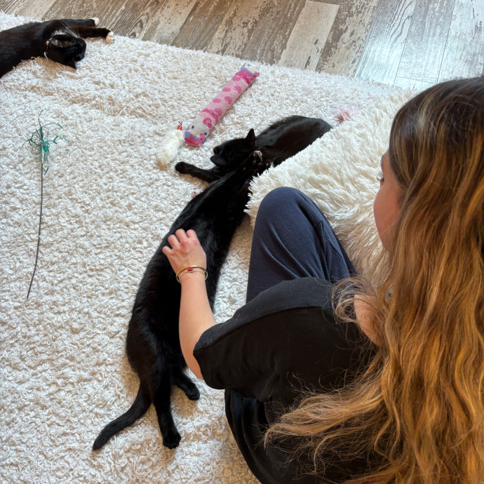 Kaitlyn's Kitty Kare photo 2
