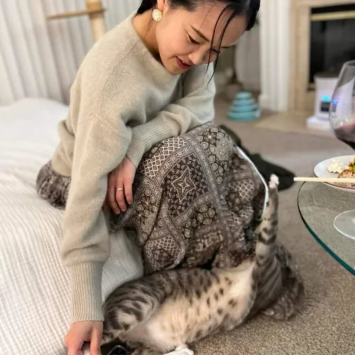 Asuka's Cat Sitting  Care photo 2