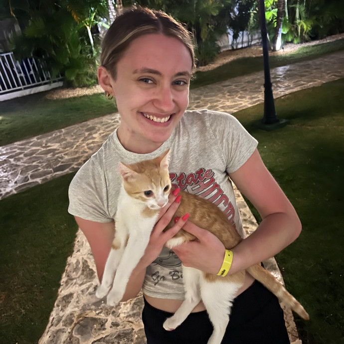 Your Cats New Best Friend photo 3