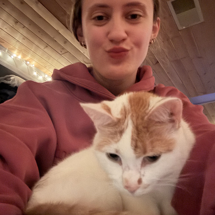 Your Cats New Best Friend
