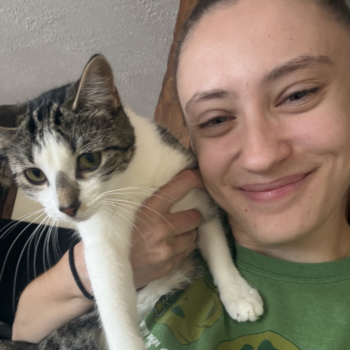 Your Cats New Best Friend