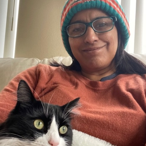 Bea's Serene Cat Sitting
