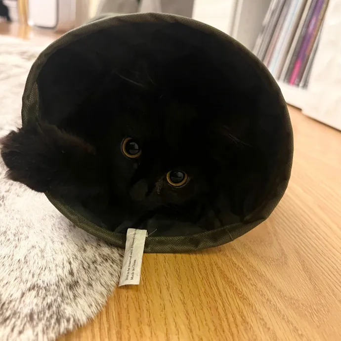 Meow-Time With Eka In La