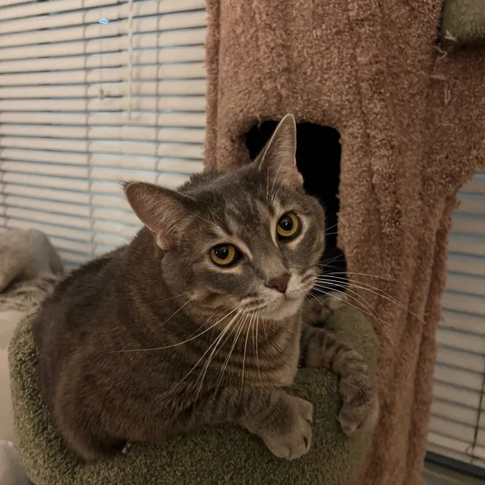 Meow-Time With Eka In La