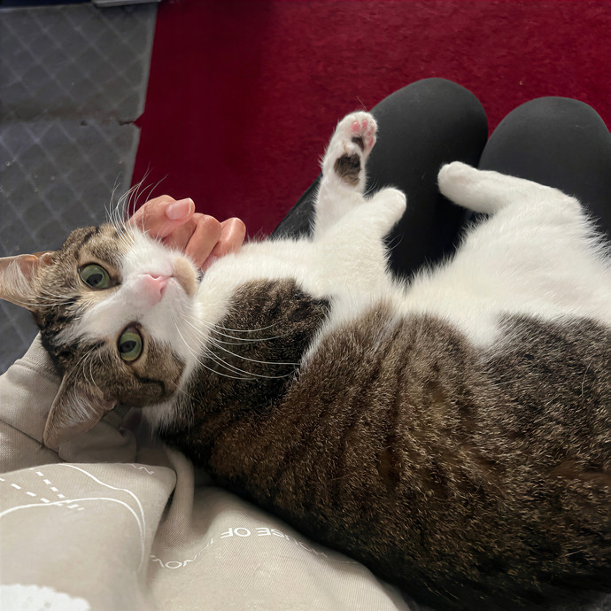 Meow-Time With Eka In La