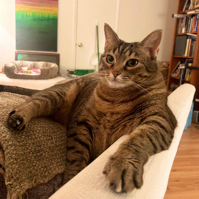 Meow-Time With Eka In La