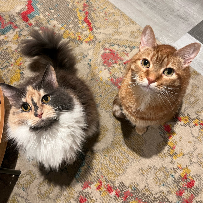 Meow-Time With Eka In La photo 2