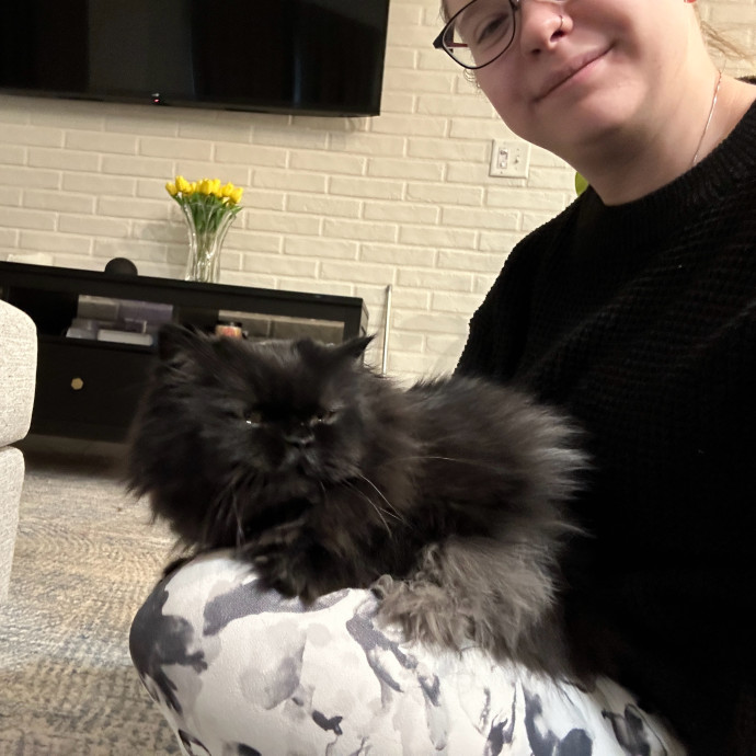 The Crazy Cat Lady