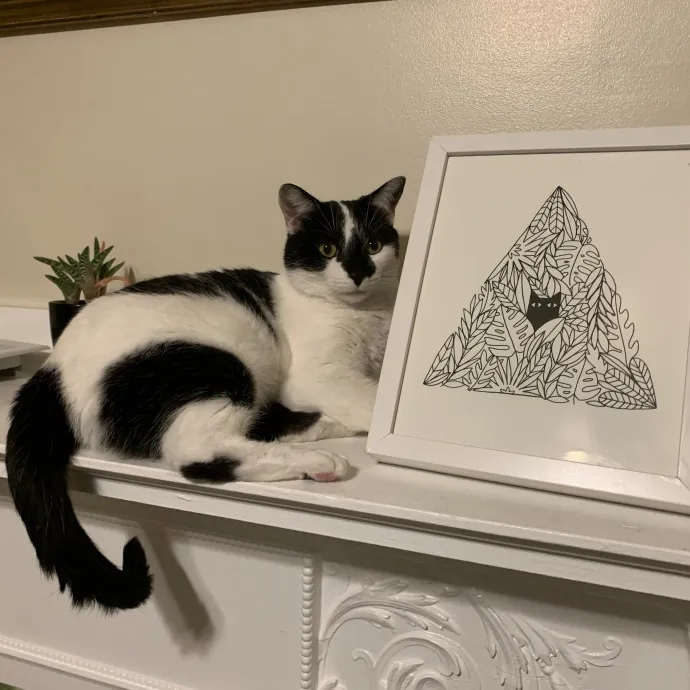 Purrtsburgh Cat Sitting