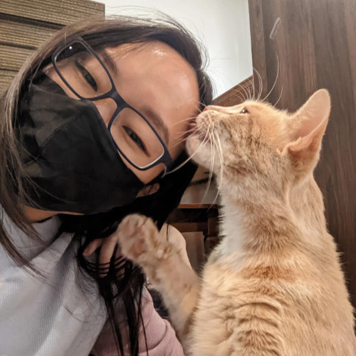 Irvine Cat Sitter