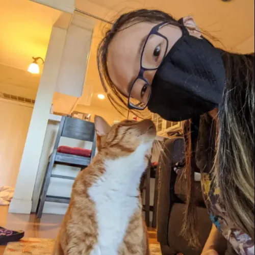 Irvine Cat Sitter photo 3