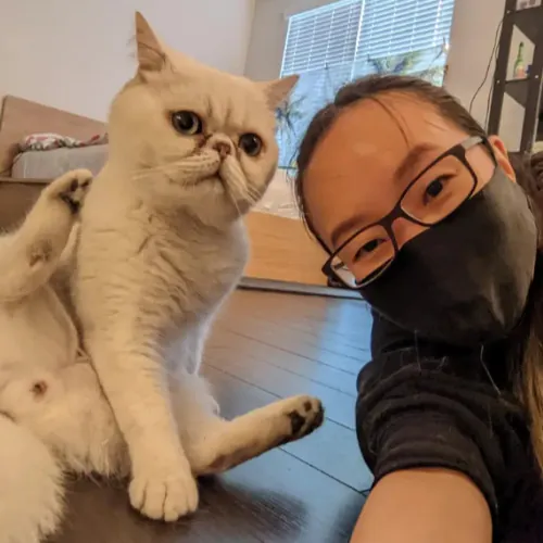 Irvine Cat Sitter photo 2