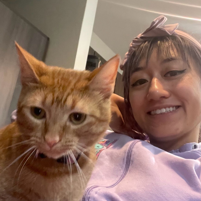 Violet Meowvelous Cat Sitter Adventures