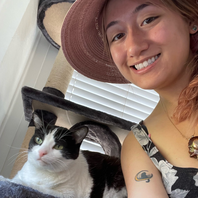 Violet Meowvelous Cat Sitter Adventures photo 2