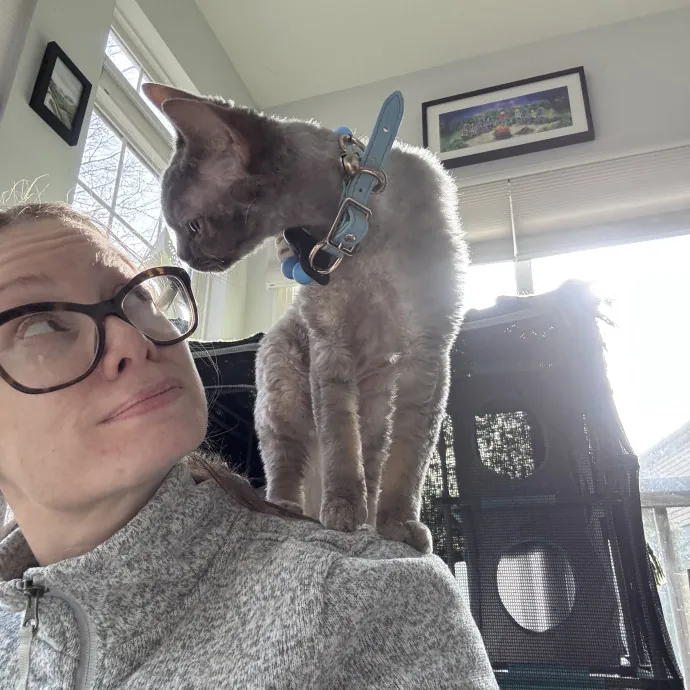 Caring For Cats Easing Your Mind