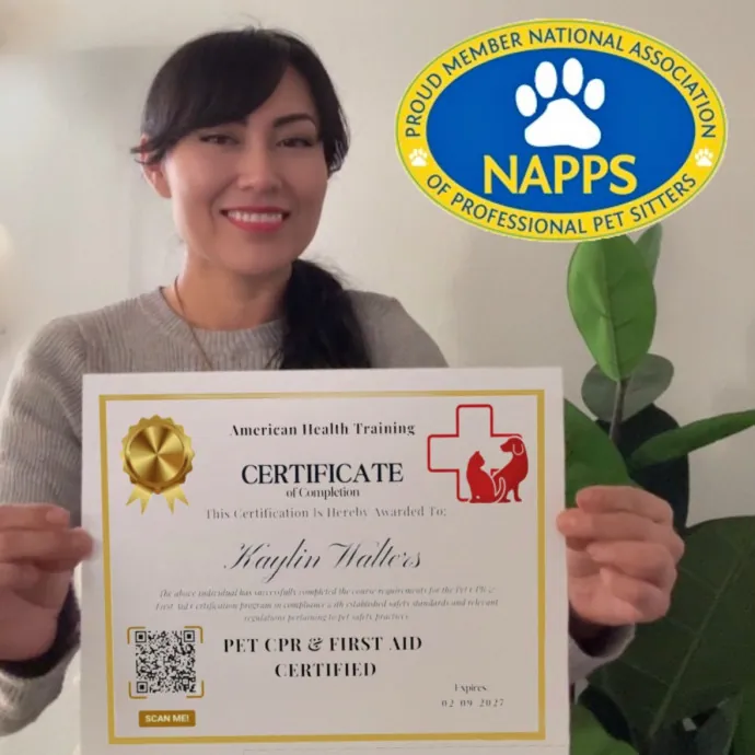 Trusted Cat Sitter photo 4