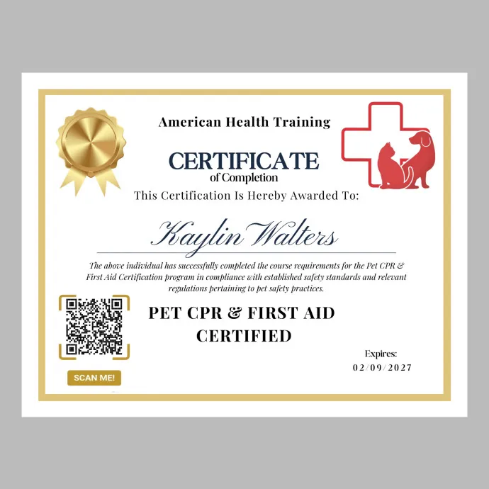 Trusted Cat Sitter photo 3