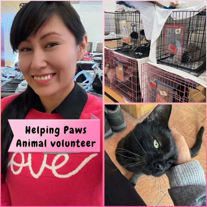 Trusted Cat Sitter photo 2