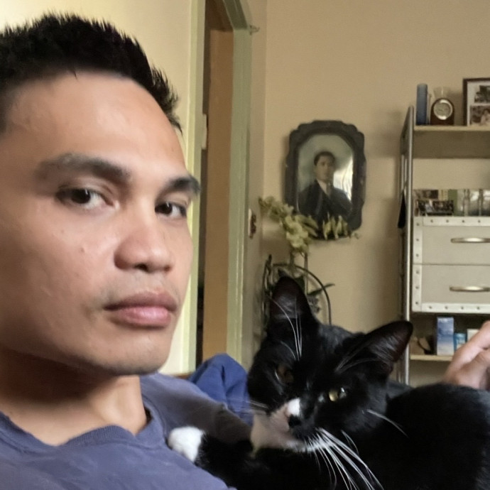 20 Years Caring For And Fostering Cats