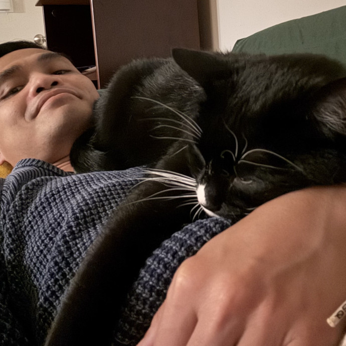 20 Years Caring For And Fostering Cats photo 3