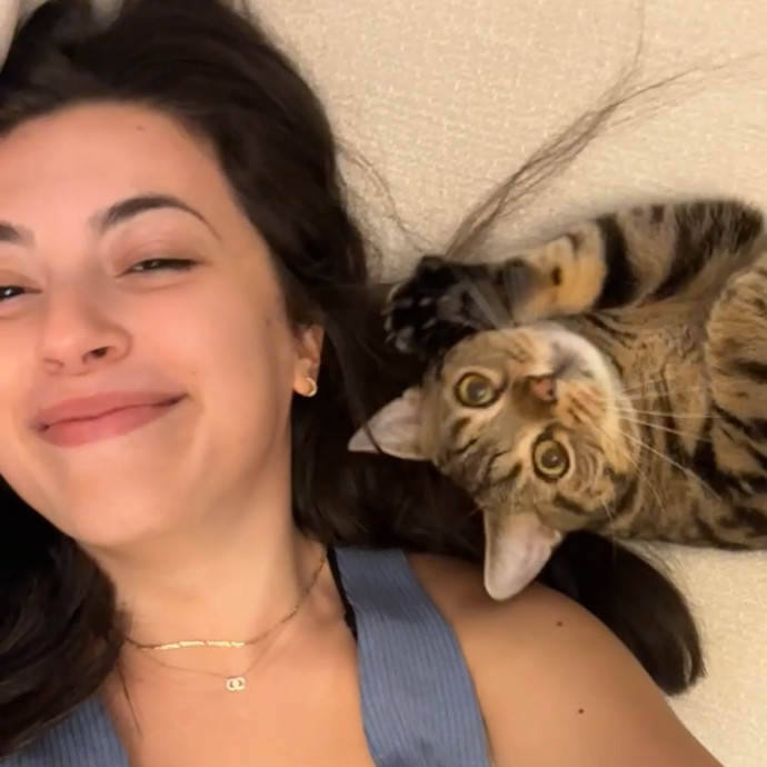 Cat Lover Located In Boston Landing photo 3