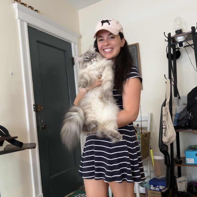 Cat Lover Located In Boston Landing photo 2