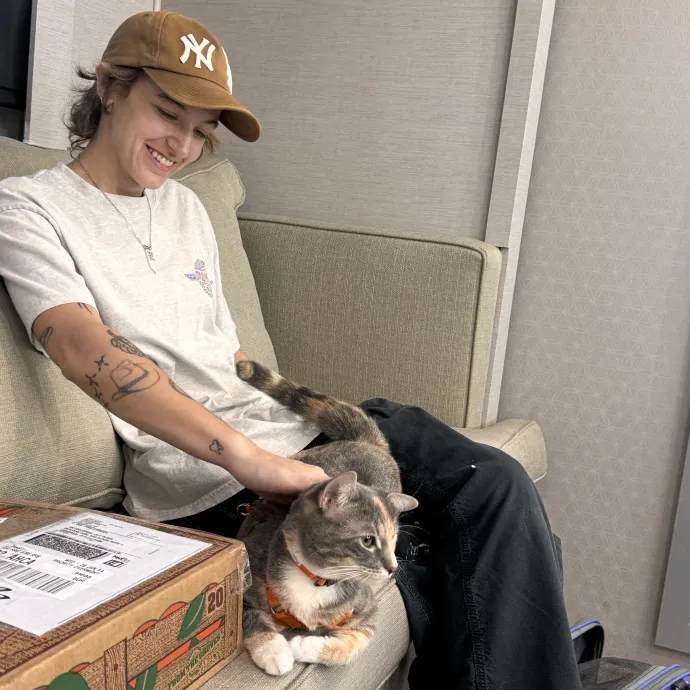 Befriending Cats In La