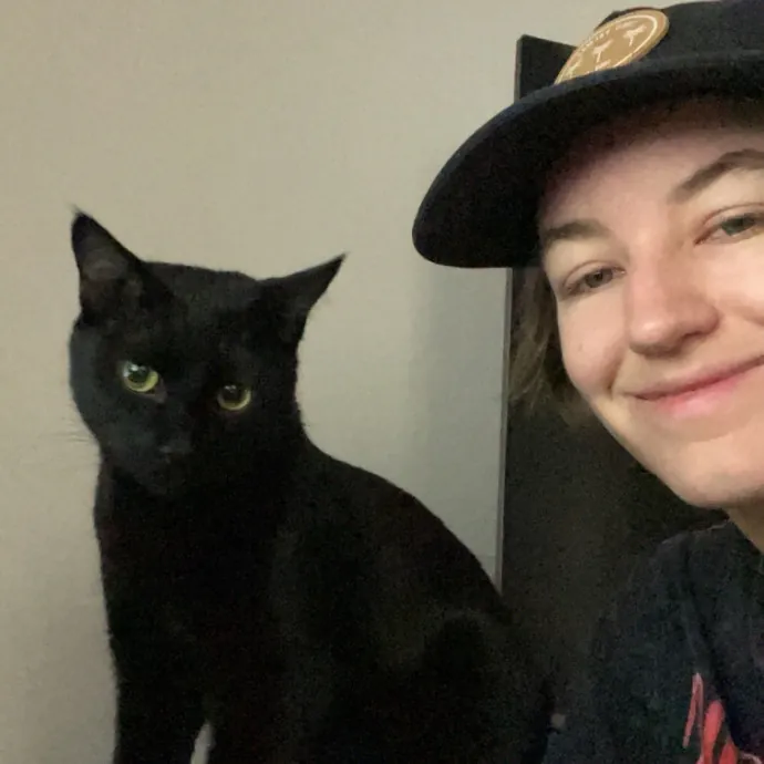 Befriending Cats In La