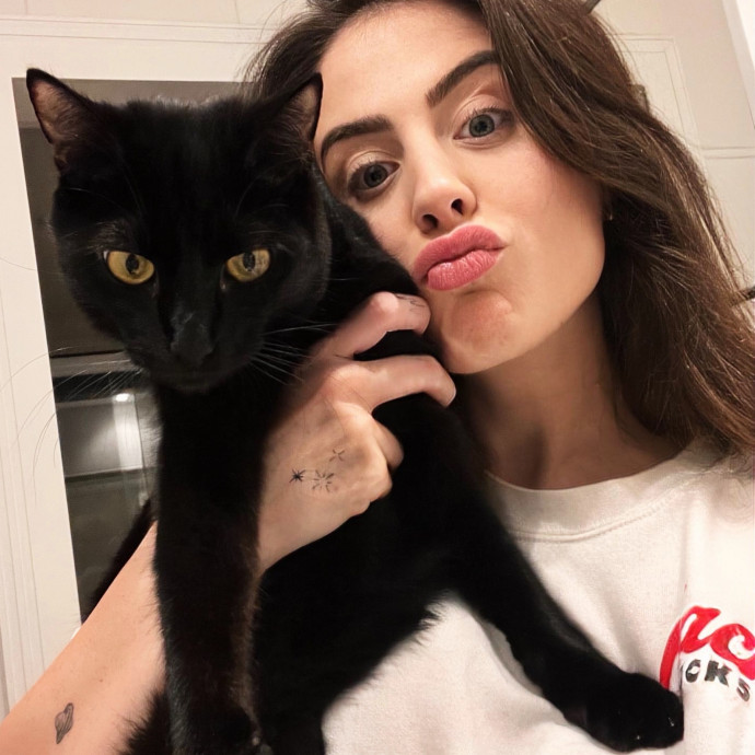 Experienced Caring Cat Sitter photo 2