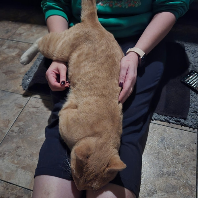 Reliable And Kind From Ferals To Friends