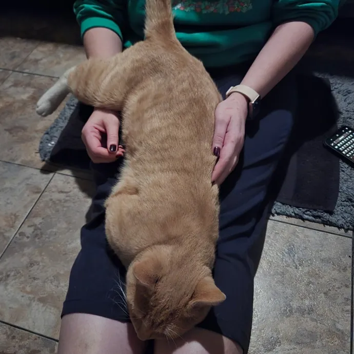 Reliable And Kind From Ferals To Friends photo 4