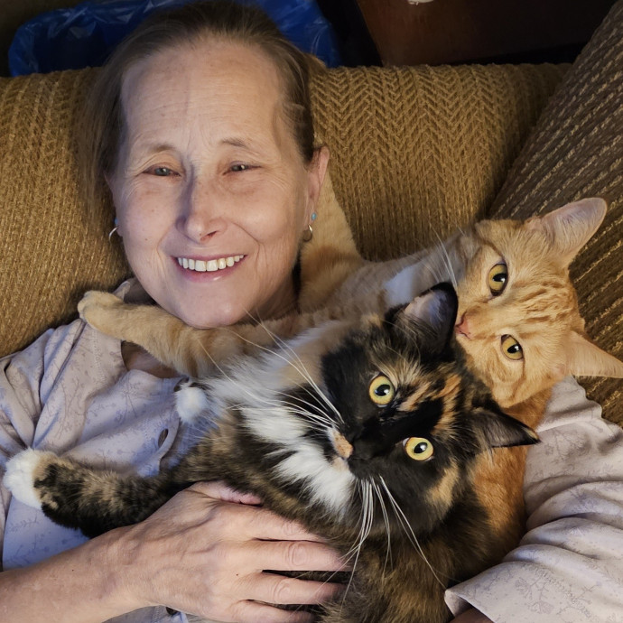 Golden Cat Care