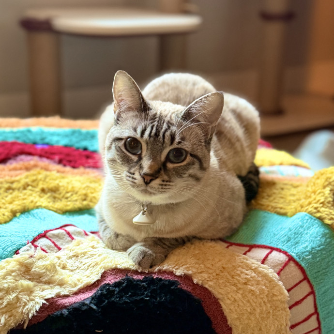 Sarah
