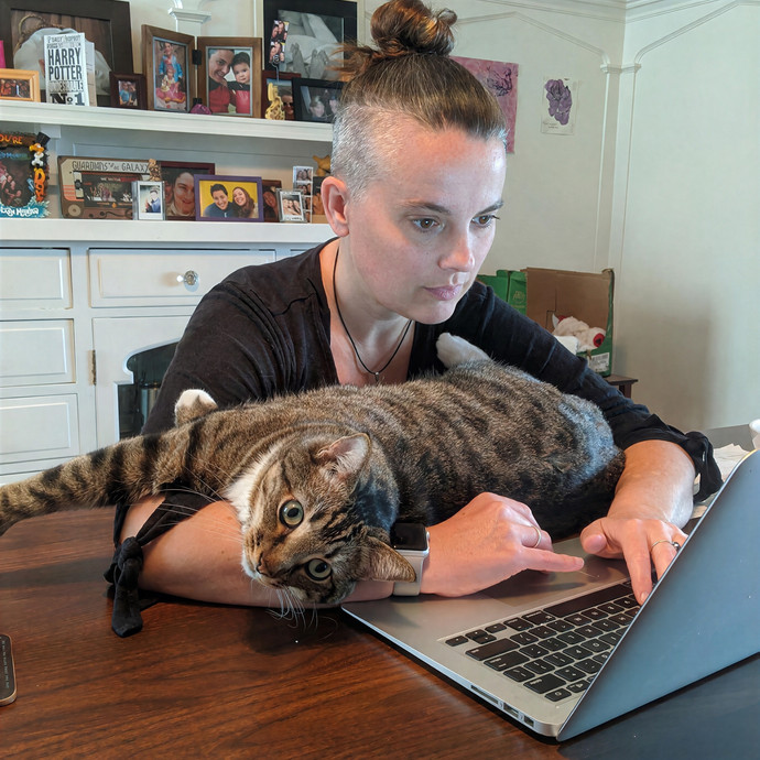 Elaine's Meowvelous Cat Sitting In Sf