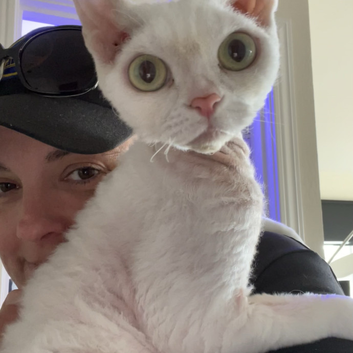 Elaine's Meowvelous Cat Sitting In Sf