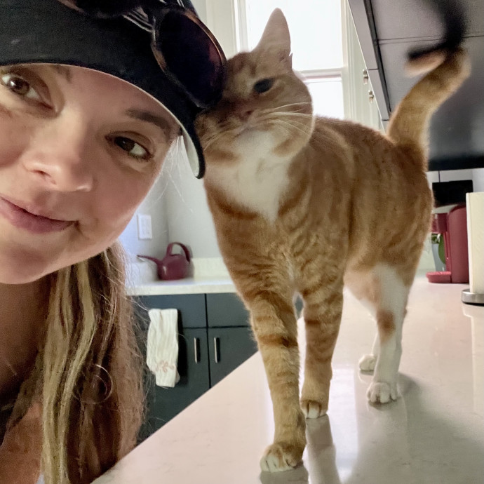 Elaine's Meowvelous Cat Sitting In Sf photo 3