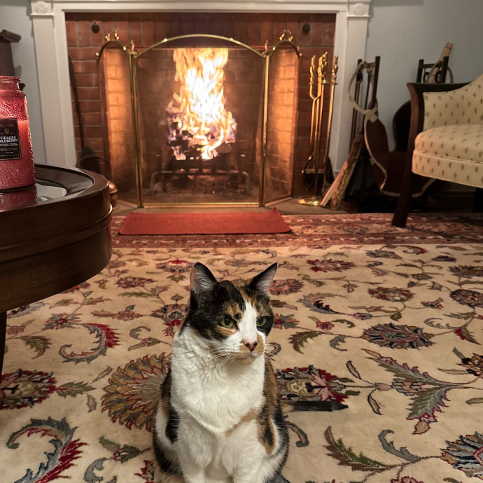 Trusted  Patient Cat Sitter