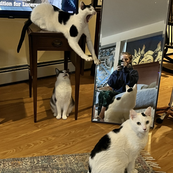 Cat Sitting With Sarah