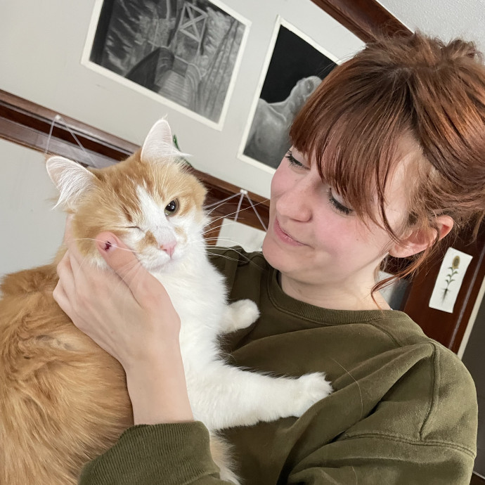 Experienced Cat Sitter And Enthusiast photo 2