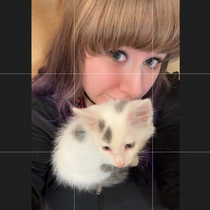 Purrsonalized Kitty Care photo 2