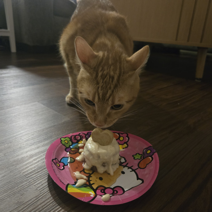 Madison's Purrfect Kitty Hotel