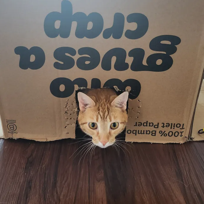 Madison M.