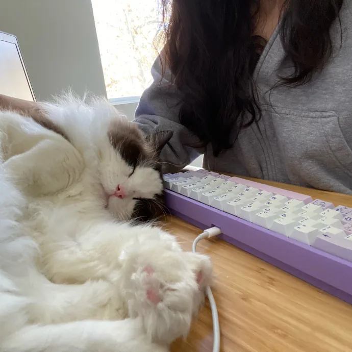 Jennie's Home-Style Cat Care Oc