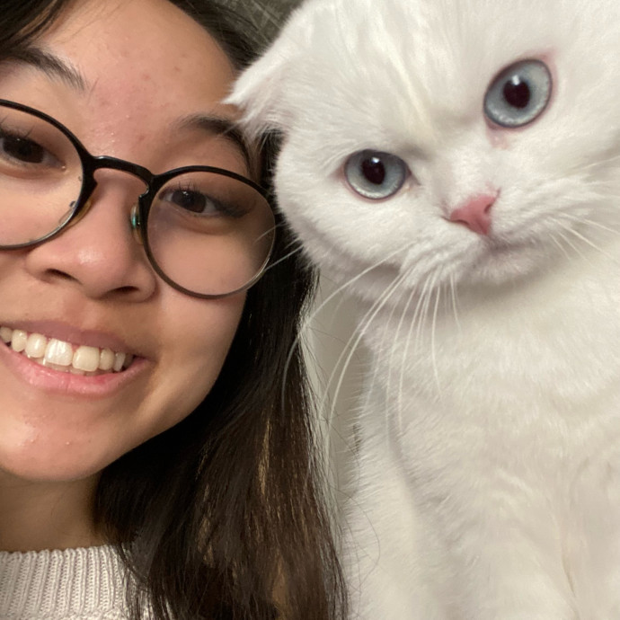Jennie's Home-Style Cat Care Oc