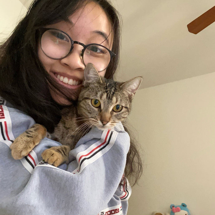 Jennie's Home-Style Cat Care Oc photo 3