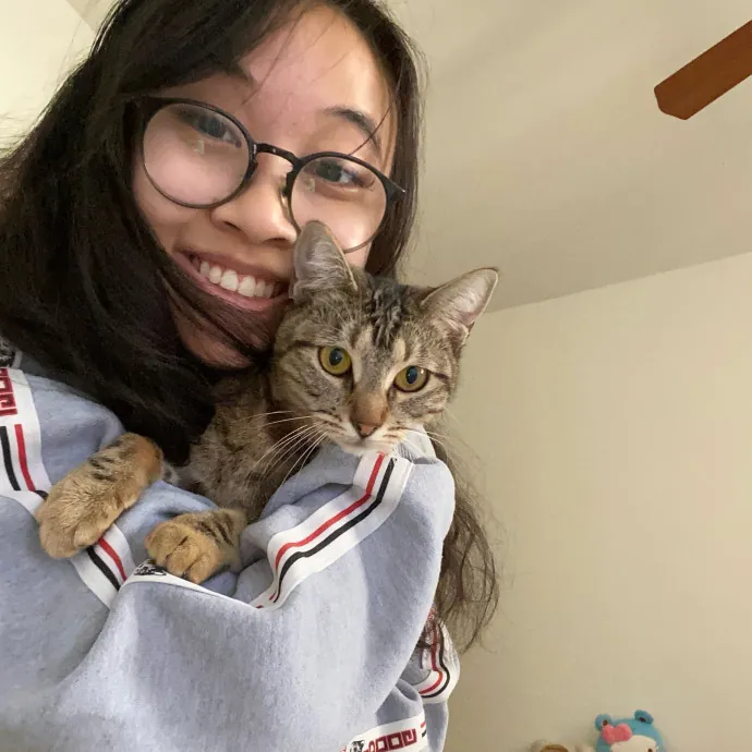 Jennie's Home-Style Cat Care Oc photo 3