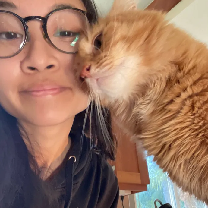 Jennie's Home-Style Cat Care Oc photo 2