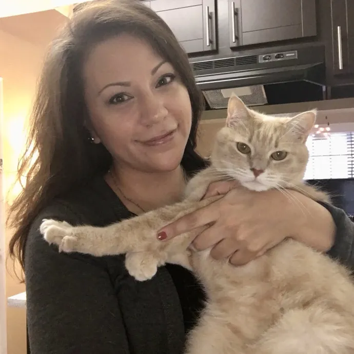 Cat Foster Mom Since 2013 photo 2